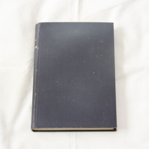 Jack London Före Adam